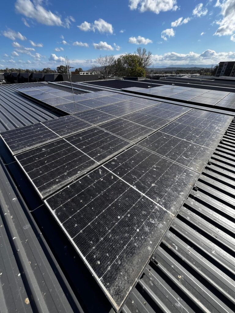 Solar panel bird proofing complete — Canberra installation