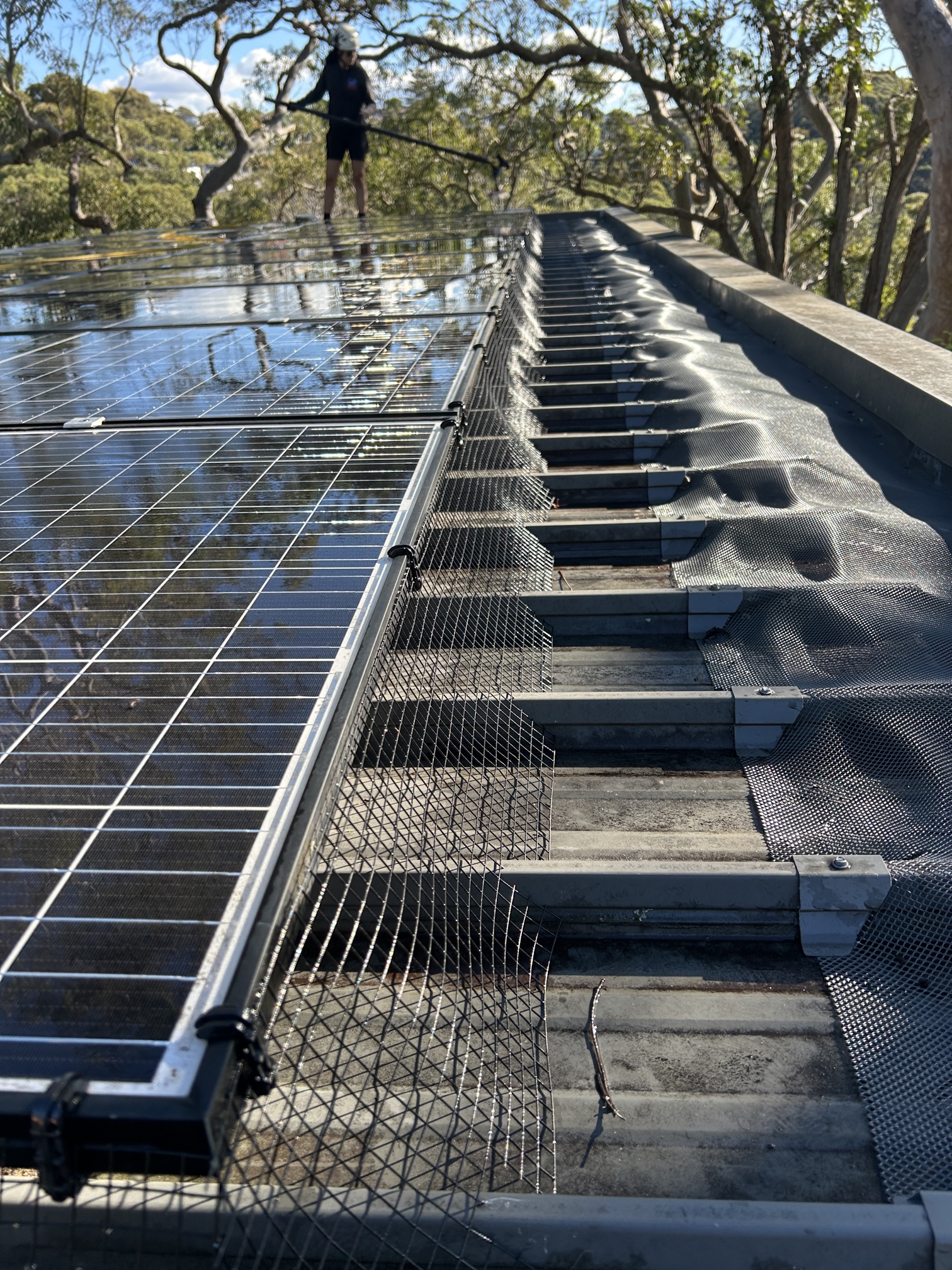 Solar Panel Bird Proofing