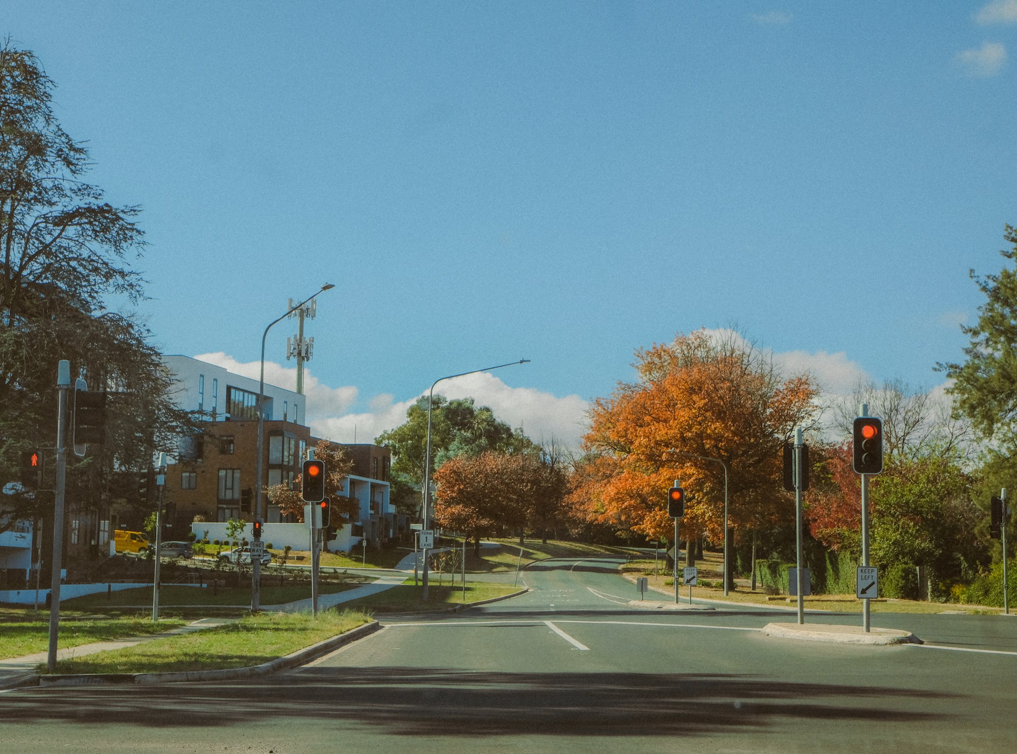Gutter Cleaning in Belconnen: Leafy Streets and Pre-Winter Storm Prep